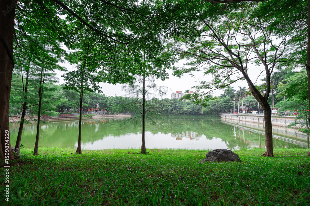 Obraz premium The evening sun shines on the green vegetation of trees by the lake in the park, and the grass is covered with raindrops 