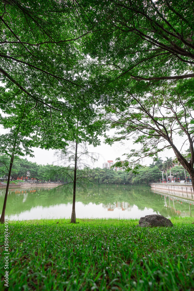 Obraz premium The evening sun shines on the green vegetation of trees by the lake in the park, and the grass is covered with raindrops 