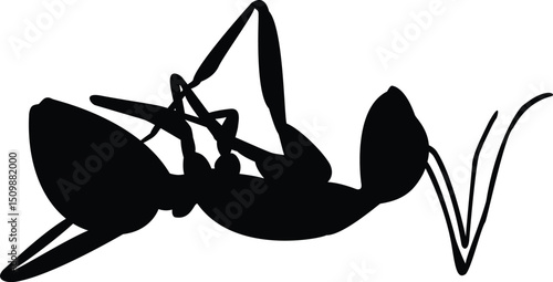 Dead fire ant isolated on a white background. .eps