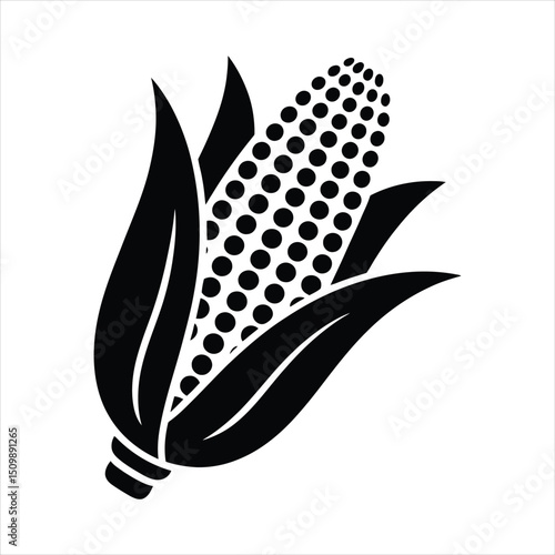 Simple black and white corn illustration showing a detailed depiction of the corn and husk