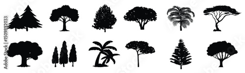 Different black tree silhouette collection. Tree silhouette isolated in black. Tree icons shadow