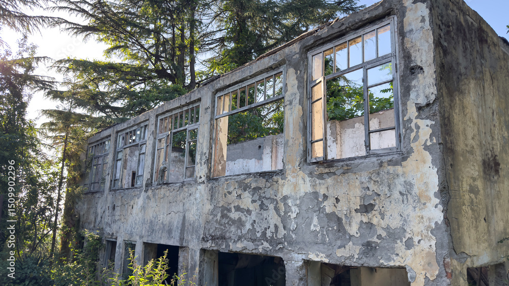 Fototapeta premium abandoned, crumbling building overtaken by nature. Sunlight peeks through the trees and broken windows, casting shadows on the peeling facade.