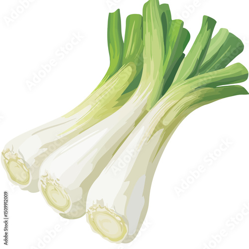 Leek on a white background 