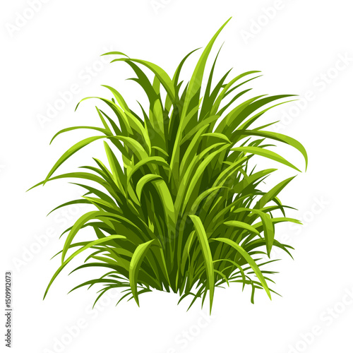 Lemongrass on white 