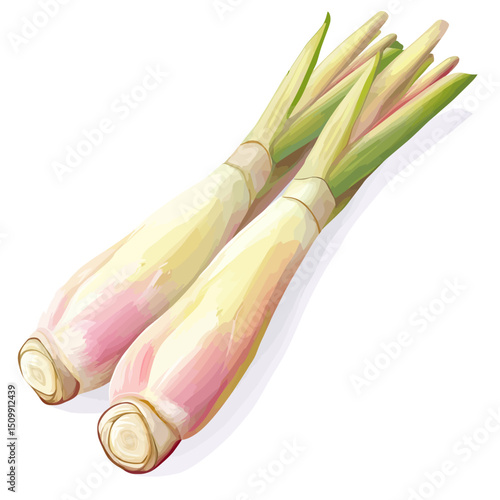 Vector illustration of a lemongrass 