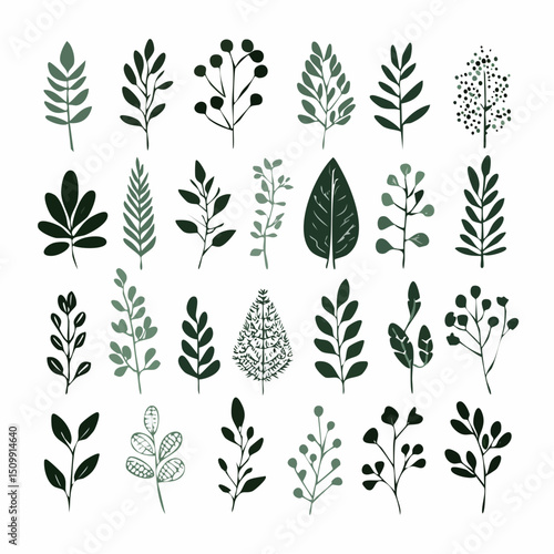 A vector set of hand-drawn black botanical silhouettes featuring assorted leaves, stems, and wildflowers. Perfect for design assets, printables, and minimal nature art.
