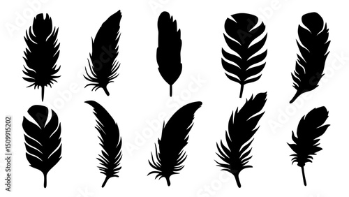 set of feathers silhouette vector on tranparent background