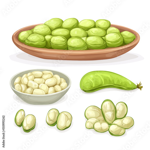 Lima bean on a white 