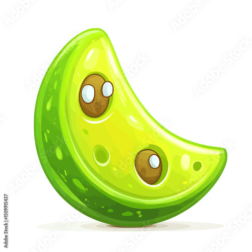 Lima bean illustration 