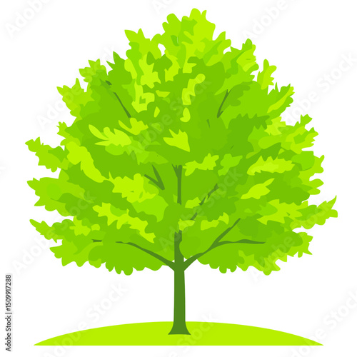 Vector linden tree 