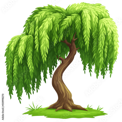 Linden tree vector illustration 