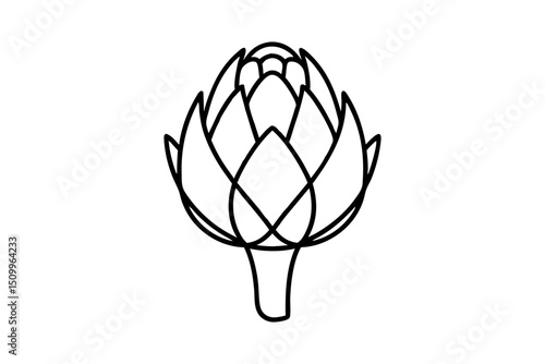Simple line drawing of an artichoke vegetable