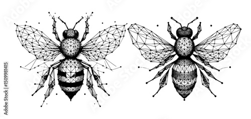 Polygonal Wireframe Bee Vector