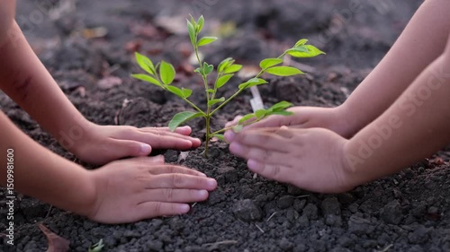 Child's hands planting a tree. Concept of loving the world and conserving the environment. Solving the problem of global warming.