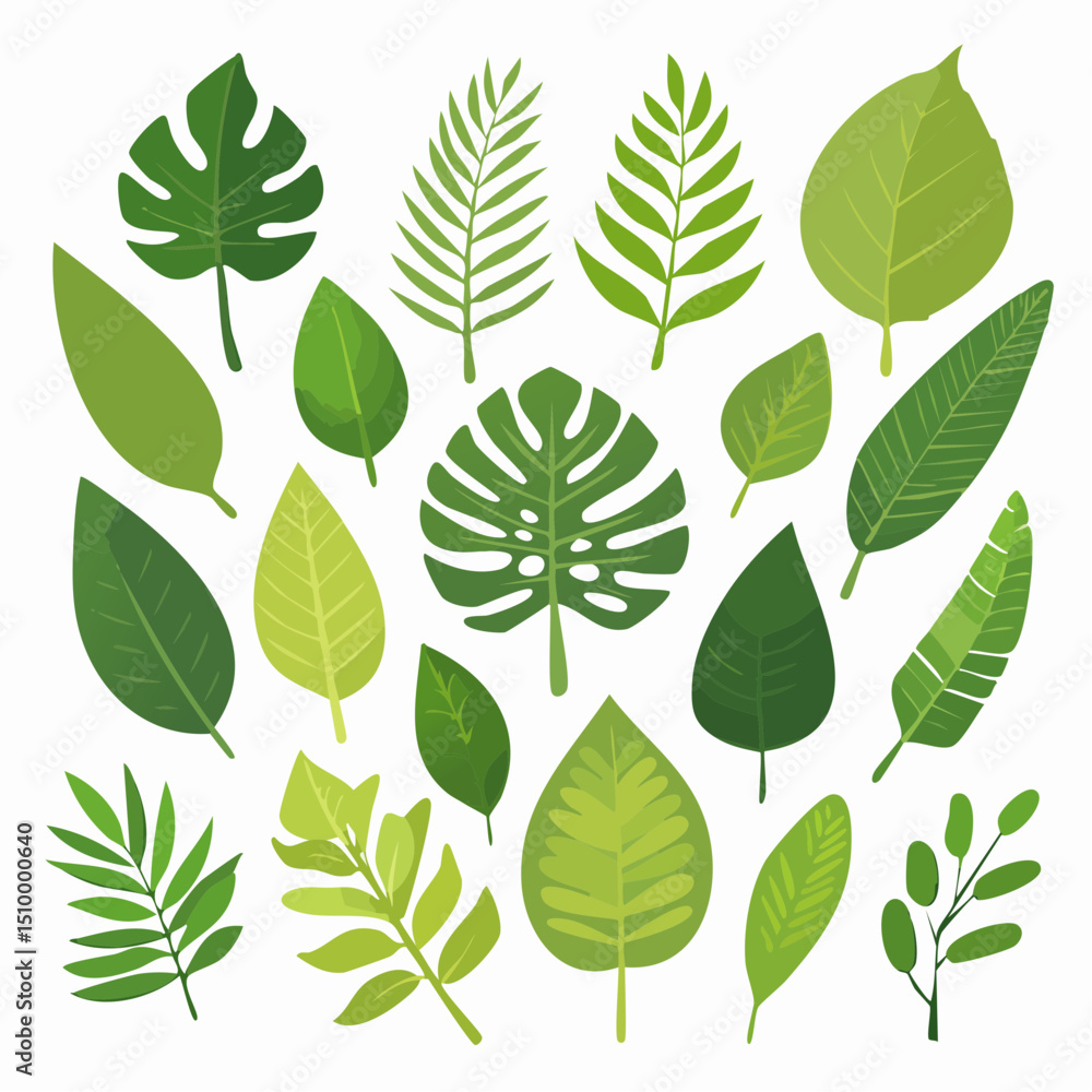 Fototapeta premium A vibrant vector set of assorted green leaves in various shapes and botanical styles. Perfect for eco designs, nature prints, and craft projects.