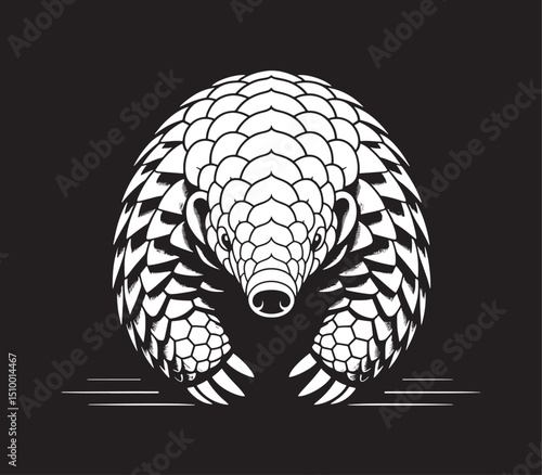 pangolin silhouette line art transparent background design stock photos premium quality