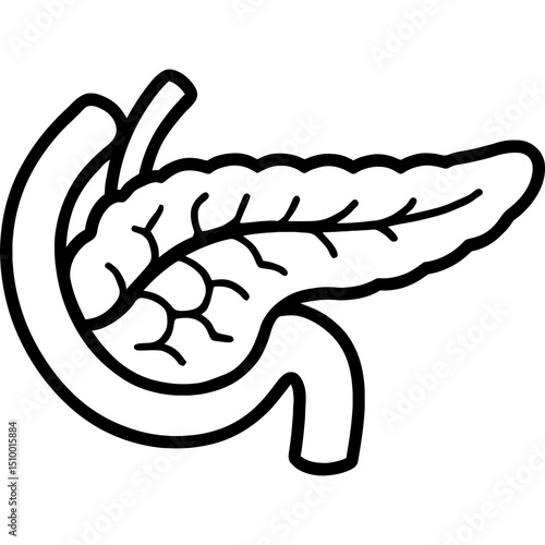 Minimal vector icon of a pancreas