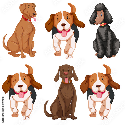 set of puppies