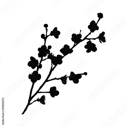 Blooming plum branch silhouette illustration
