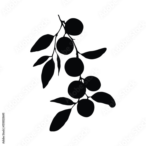 Citrus branch with fruit silhouette