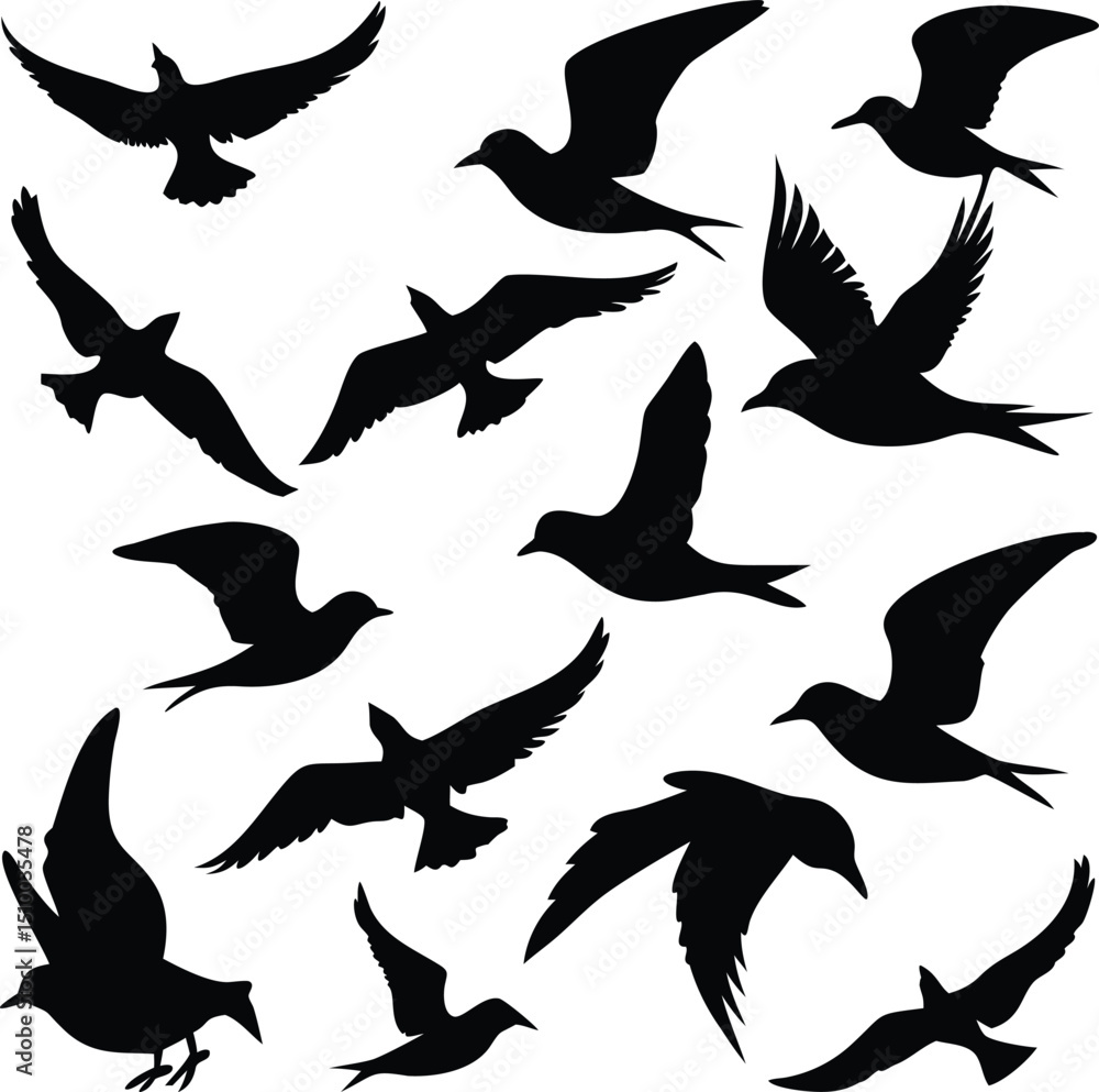 Silhouettes of birds flying isolated on white background Silhouettes of birds flying isolated on white background
