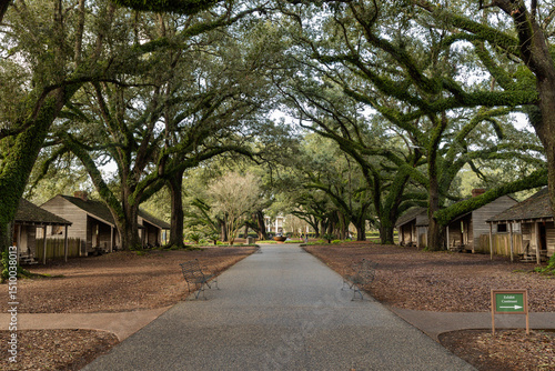 Photos Photographs of a former plantation near New Orleans capture historic mansions, g
