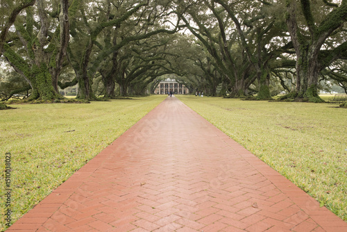 Photographs of a former plantation near New Orleans capture historic mansions, grand oak-lined avenues, and remnants of antebellum architecture
