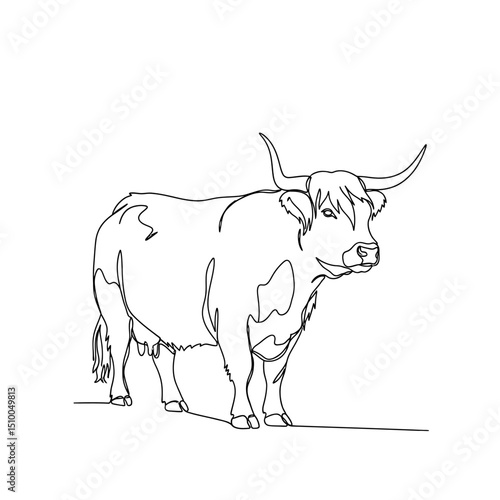 Highland cattle isolated on white background, a single line drawing of a scottish cow with long horns, minimalist art in black and white, a simple vector illustration