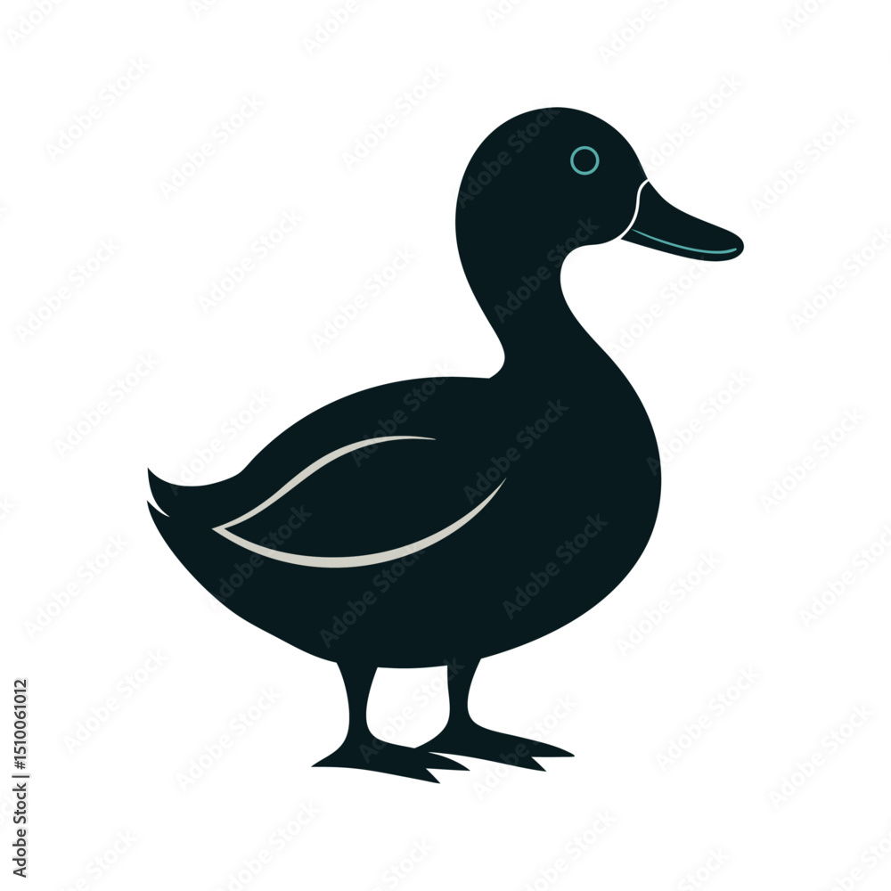 Obraz premium Vector illustration of a wild duck, a water bird with distinctive feathers, isolated on white