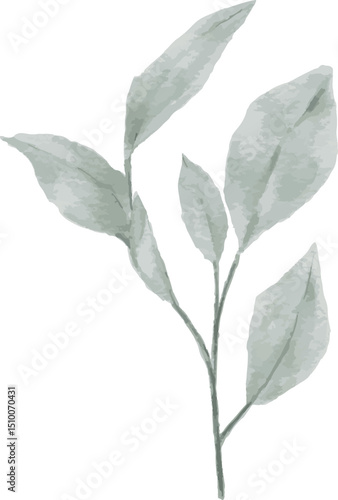 Leaves watercolor vector and illustration for commercial and advertisement