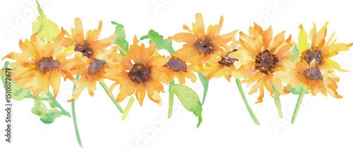 水彩画。水彩タッチのひまわりイラスト。向日葵のベクター素材。夏のヒマワリフレーム。Watercolor painting. Sunflower illustration with watercolor touch. Sunflower vector material. Summer sunflower frame.
