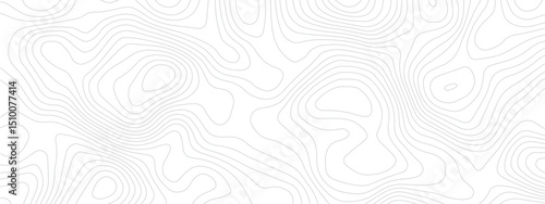 Contemporary Abstract Topographic Map with Geometric Lines and a Clean Modern Grid Layout on a White Background
