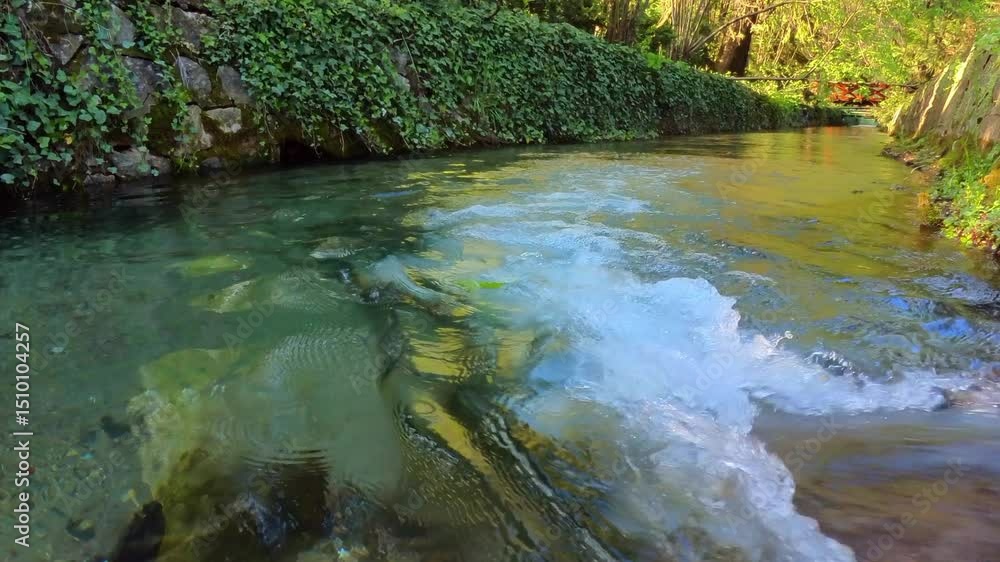 custom made wallpaper toronto digitalSlow motion close-up of a fallen leaf drifting along a gentle stream.