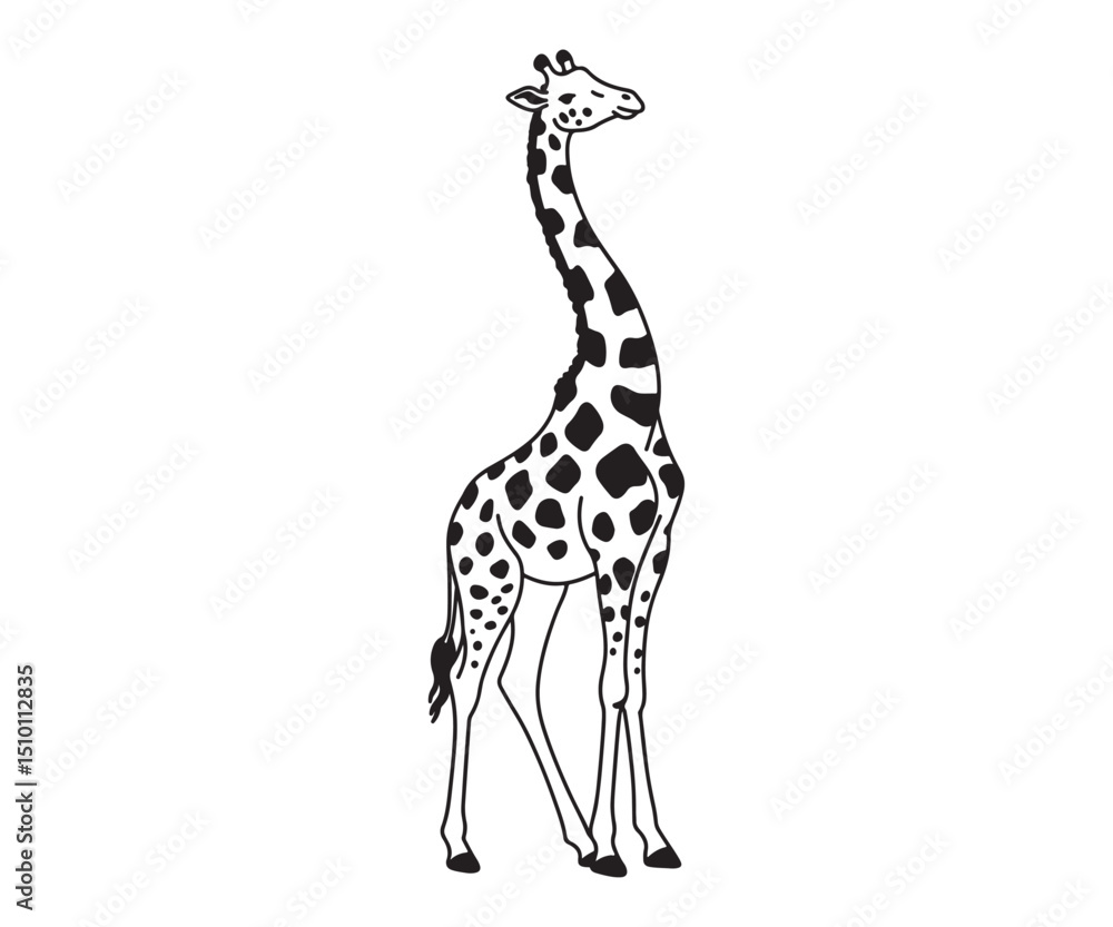 Obraz premium giraffe isolated on white