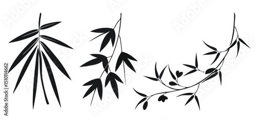 Elegant black silhouettes of bamboo and olive branches