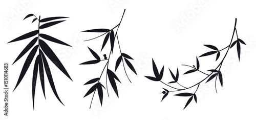Elegant black bamboo silhouettes botanical illustration
