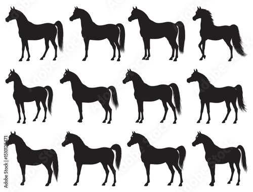 ARABIAN HORSE SILHOUETTE