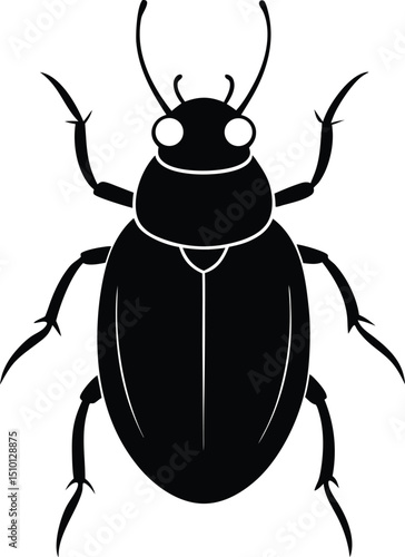 black beetle vector illustration