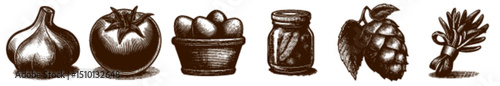 Rustic Engraved Food Icons of Garlic Tomato Eggs Jar Hops and Herbs in Hand Drawn Line Art Style