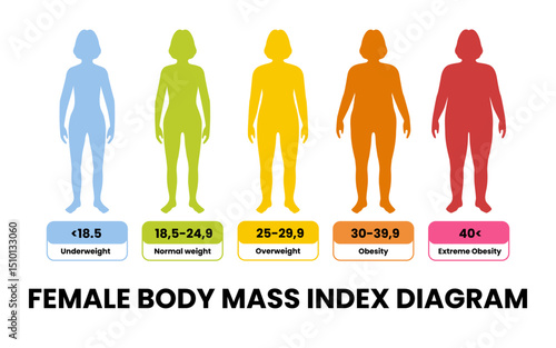 Body Mass Index Diagram for Female Weight Loss Fat Health People Infographic Concept Vector Illustration with Color