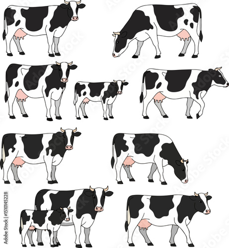 Flat vector illustrations of contoured black and white dairy cows and calves, including heifers grazing, walking, and standing in profile. Isolated farm livestock in outlined, stylized design.