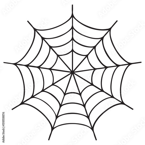 spider web vector, spider and web