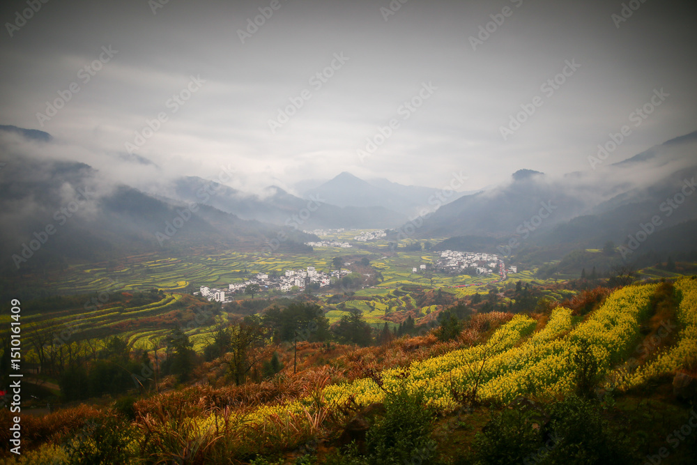 Fototapeta premium Hui-style architecture and rapeseed flowers in spring in Anhui, China