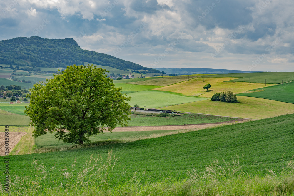 Naklejka premium Hegaulandschaft 3