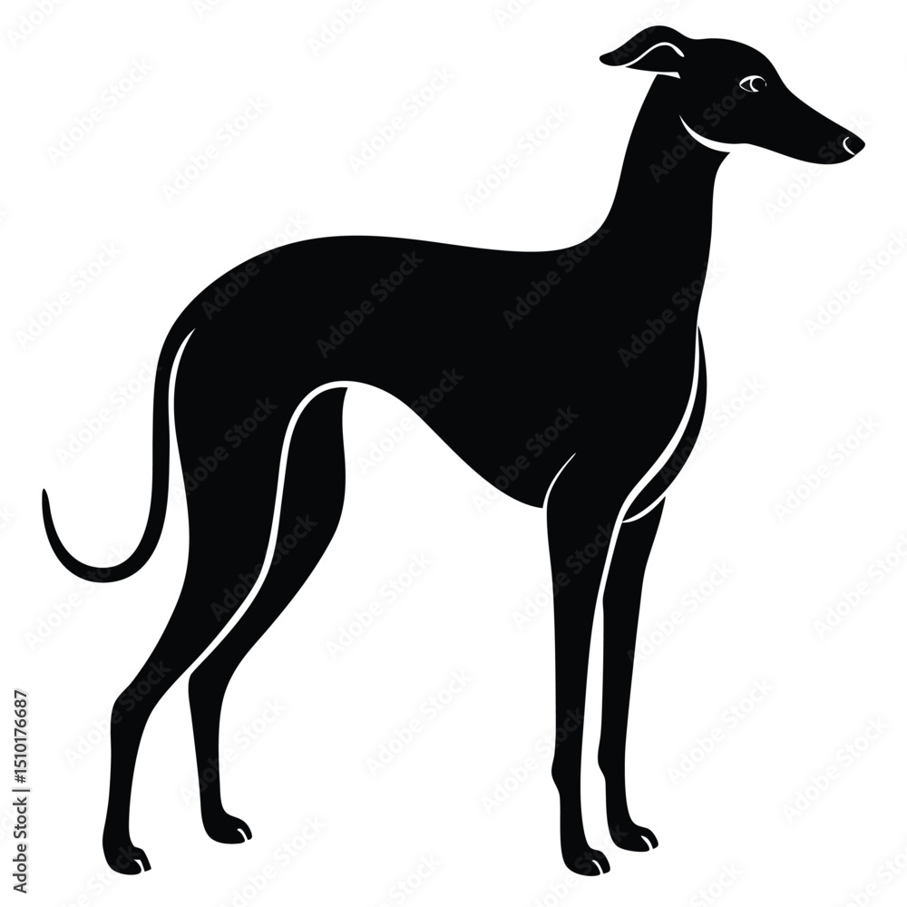 Obraz premium whippet vector sihouette