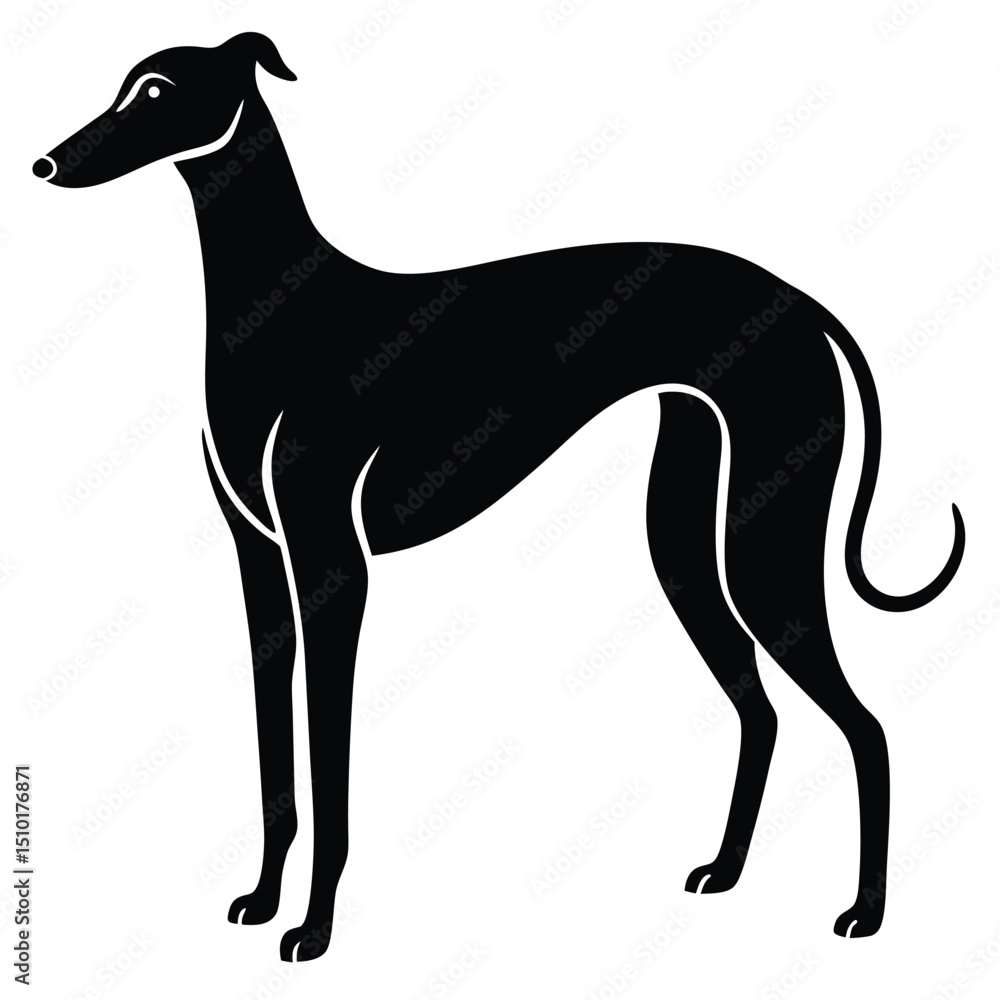 Obraz premium whippet vector sihouette