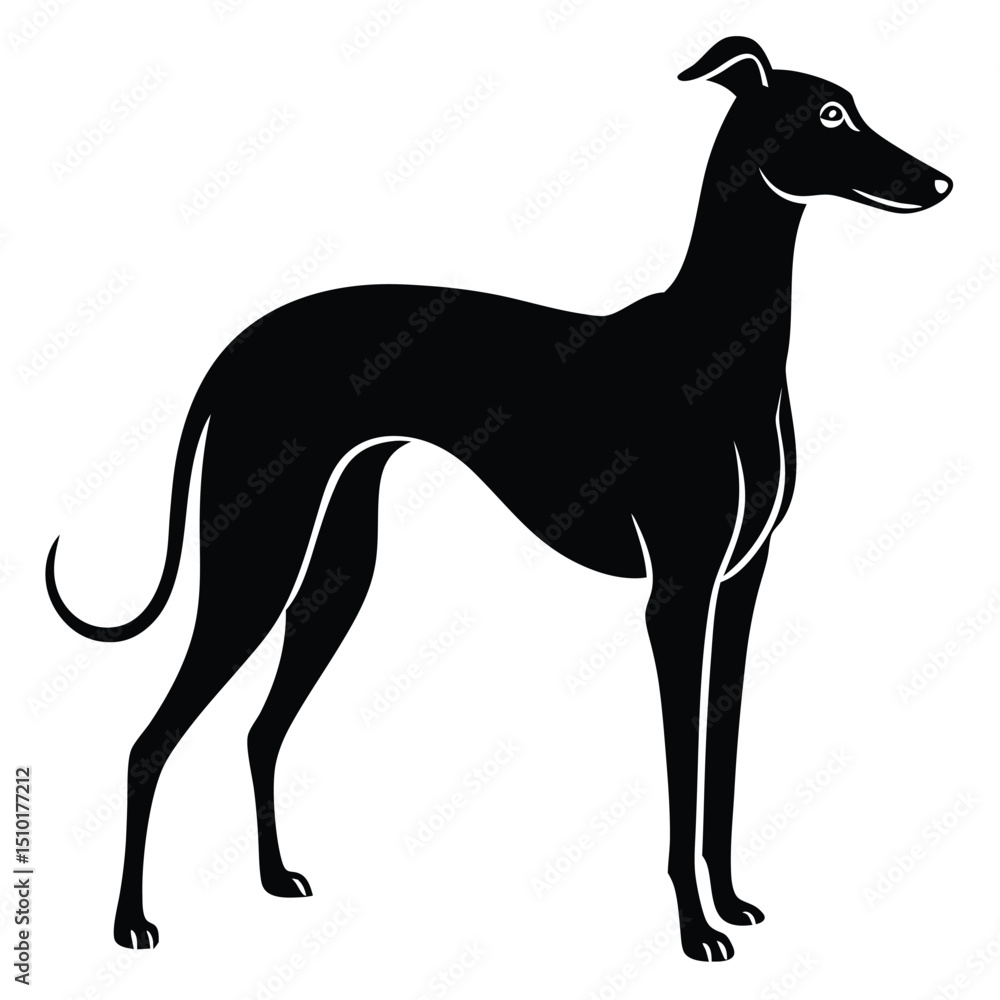 Obraz premium whippet vector sihouette