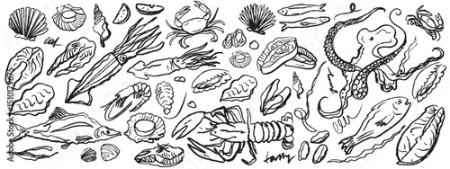 Isolated vector set of seafood. Shrimps, langoustines, prawns, salmon, trout, oysters, mussels, squid, crab, lemon.Hand-drawn seafood delicacy, restaurant and marine cafe menu.