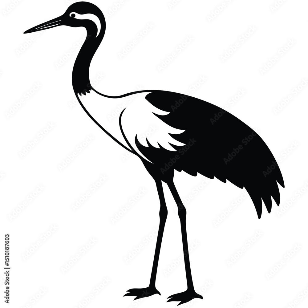 Obraz premium WHOOPING CRIHE VECTOR