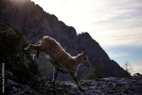 Fototapeta Naklejka Na Ścianę i Meble -  Szwajcaria